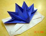Origami Peacock pop-up card by Jeremy Shafer on giladorigami.com