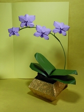 Origami Orchid by Viviane Berty on giladorigami.com