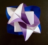 Origami Fluted module by Rocky Jardes on giladorigami.com