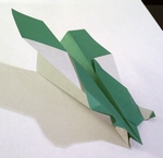 Origami Bug-eye glider by Nick Robinson on giladorigami.com