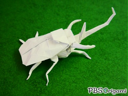 Origami Longhorn beetle by Peter Buchan-Symons on giladorigami.com