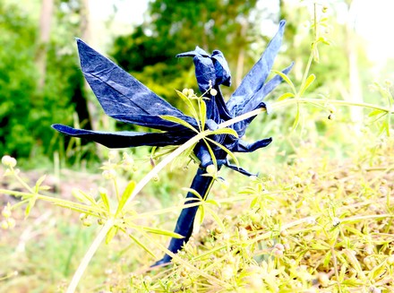 Origami Dragonfly by Peter Buchan-Symons on giladorigami.com
