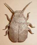 Origami Scarab beetle by Alfredo Giunta on giladorigami.com