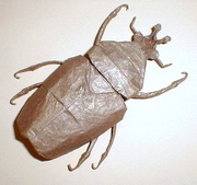 Origami Goliath beetle by Robert J. Lang on giladorigami.com
