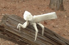 Origami Praying mantis by Phillip Curl on giladorigami.com