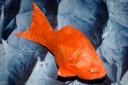 Origami EYHOL fish by Rikki Donachie on giladorigami.com