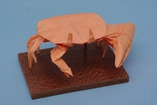 Origami Fiddler crab by Marc Kirschenbaum on giladorigami.com