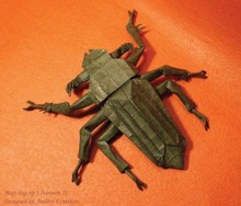 Origami May bug by Andrey Ermakov on giladorigami.com