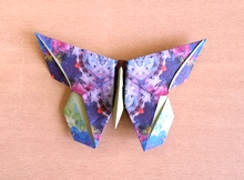 Origami Butterfly - Sok Song by Michael G. LaFosse on giladorigami.com