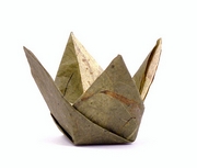 Origami Bowl by Peter Borcherds on giladorigami.com