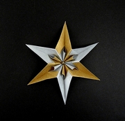 Origami Flowered star by Ekaterina Lukasheva on giladorigami.com