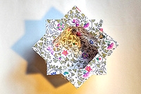 Origami Enigma bowl by David Mitchell on giladorigami.com