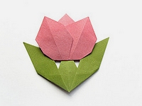 Origami Tulip by Niwa Taiko on giladorigami.com