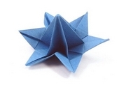 Origami Desert flower by Nick Robinson on giladorigami.com
