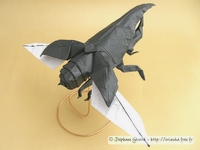 Origami Hercules beetle (flying) by Satoshi Kamiya on giladorigami.com