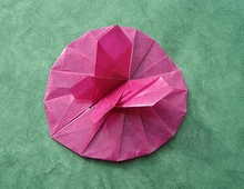 Origami Butterfly on leaf by Tomoko Fuse on giladorigami.com