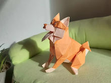 Origami Shiba inu by Shun Kato on giladorigami.com