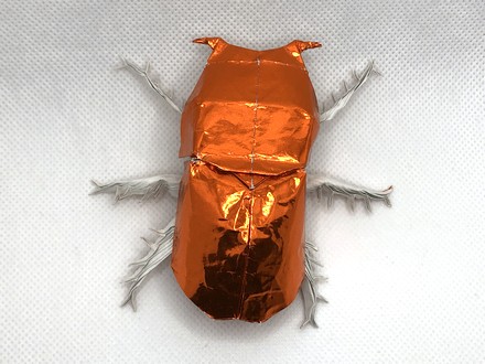 Origami Spur-legged dung beetle by Robert J. Lang on giladorigami.com