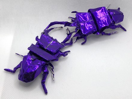 Origami Stag beetle by Manuel Sirgo on giladorigami.com