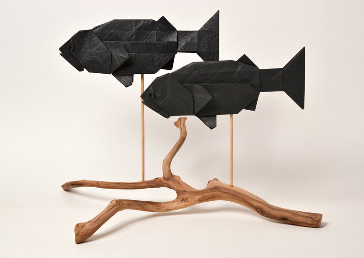 Origami Giant sea bass by Joseph Hwang on giladorigami.com