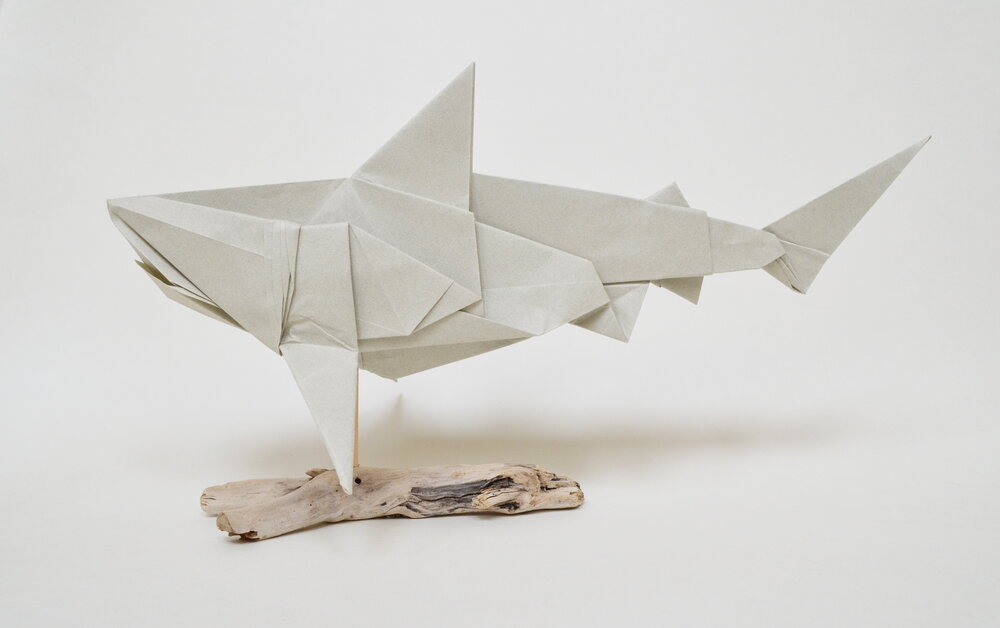 Origami Bull shark by Joseph Hwang on giladorigami.com