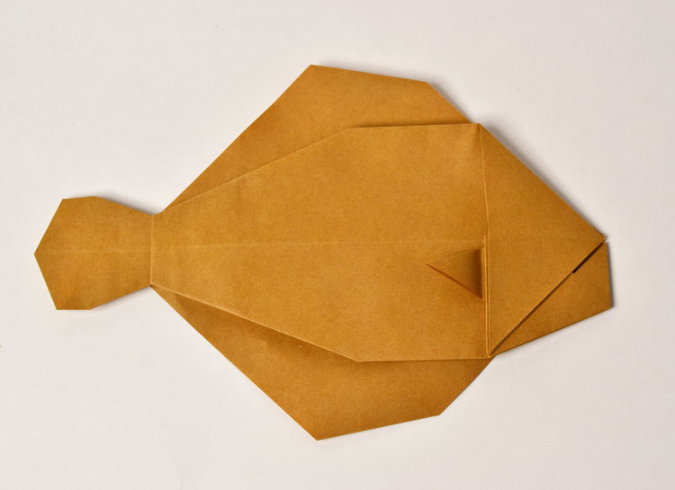 Origami Flounder by Joseph Hwang on giladorigami.com