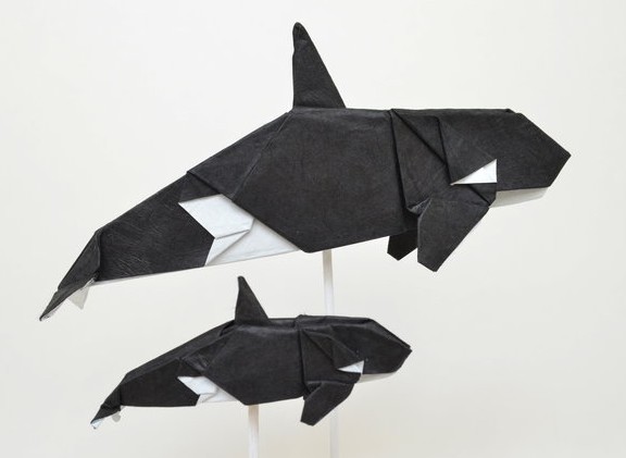 Origami Orca by Joseph Hwang on giladorigami.com