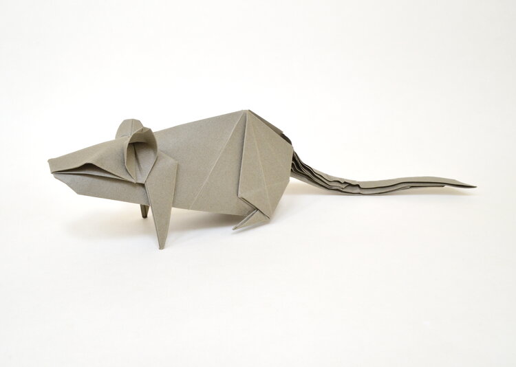 Origami Rat by Joseph Hwang on giladorigami.com
