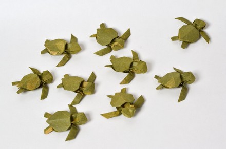 Origami Green sea turtle hatchling by Joseph Hwang on giladorigami.com