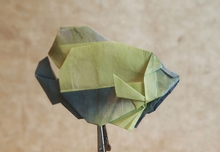 Origami Angelfish by Maeng Heyong Kyu on giladorigami.com