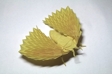 Origami Moth by Andrey Ermakov on giladorigami.com