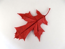 Origami Scarlet oak leaf by Jens-Helge Dahmen on giladorigami.com