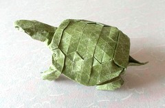 Origami Western pond turtle by Robert J. Lang on giladorigami.com