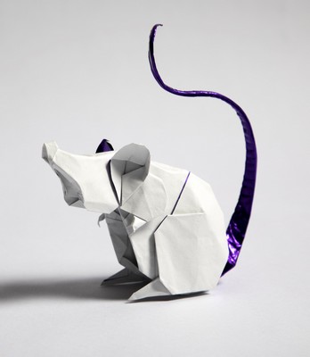 Origami Mouse by Raphael Maillot on giladorigami.com