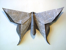 Origami Butterfly - Guy Kawasaki by Michael G. LaFosse on giladorigami.com