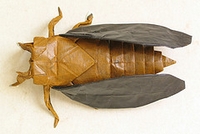 Origami Cicada - Periodical by Robert J. Lang on giladorigami.com