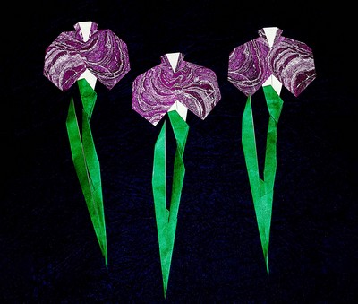 Origami Iris by Taichiro Hasegawa on giladorigami.com