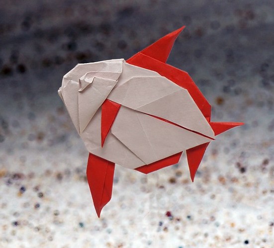 Origami Opah by Satoshi Kamiya on giladorigami.com