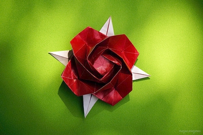 Origami Rose with calyx by Shin Han-Gyo on giladorigami.com