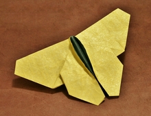 Origami Butterfly by Evi Binzinger on giladorigami.com