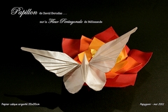 Origami Butterfly by David Derudas on giladorigami.com