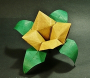 Origami Square flower by Roman Diaz on giladorigami.com