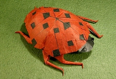 Origami Ladybug - spotted by Robert J. Lang on giladorigami.com