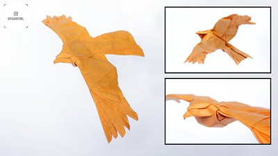 Origami Black kite by Satoshi Kamiya on giladorigami.com