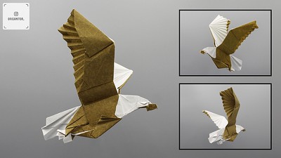 Origami Bald eagle by Fukuroi Kazuki on giladorigami.com