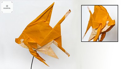 Origami Angelfish by Kashiwamura Takuro on giladorigami.com