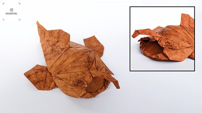 Origami Monkfish by Kashiwamura Takuro on giladorigami.com