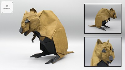 Origami Quokka by Yoo Tae Yong on giladorigami.com