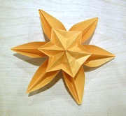Origami Hexagonal star by Philip Shen on giladorigami.com