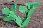Origami Cactus - prickly pear by John Montroll on giladorigami.com